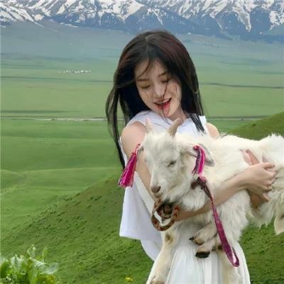 11度青春之《东奔西游》